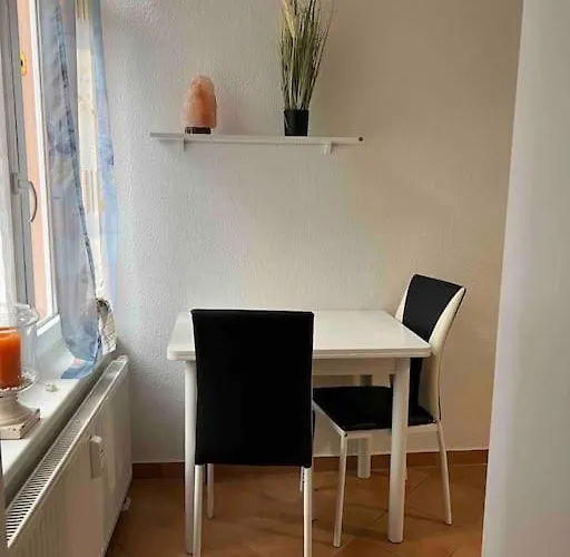 Apartment Akk5 Großes Mit Terrasse Nähe Hbf/uni Magdeburg
