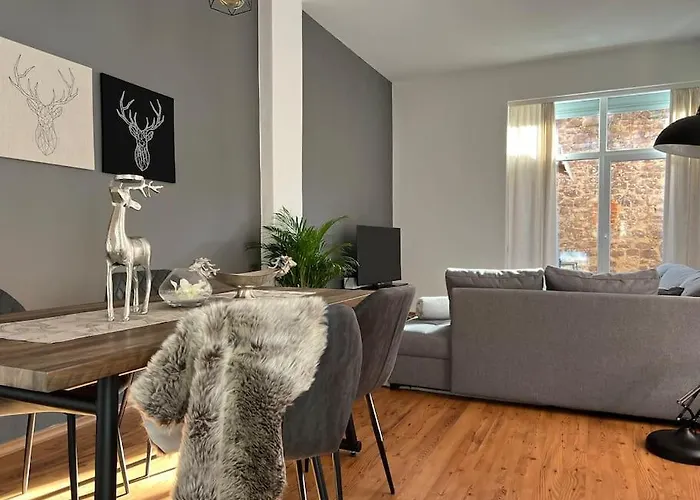 Akk5 Grosses Mit Terrasse Naehe Hbf/uni